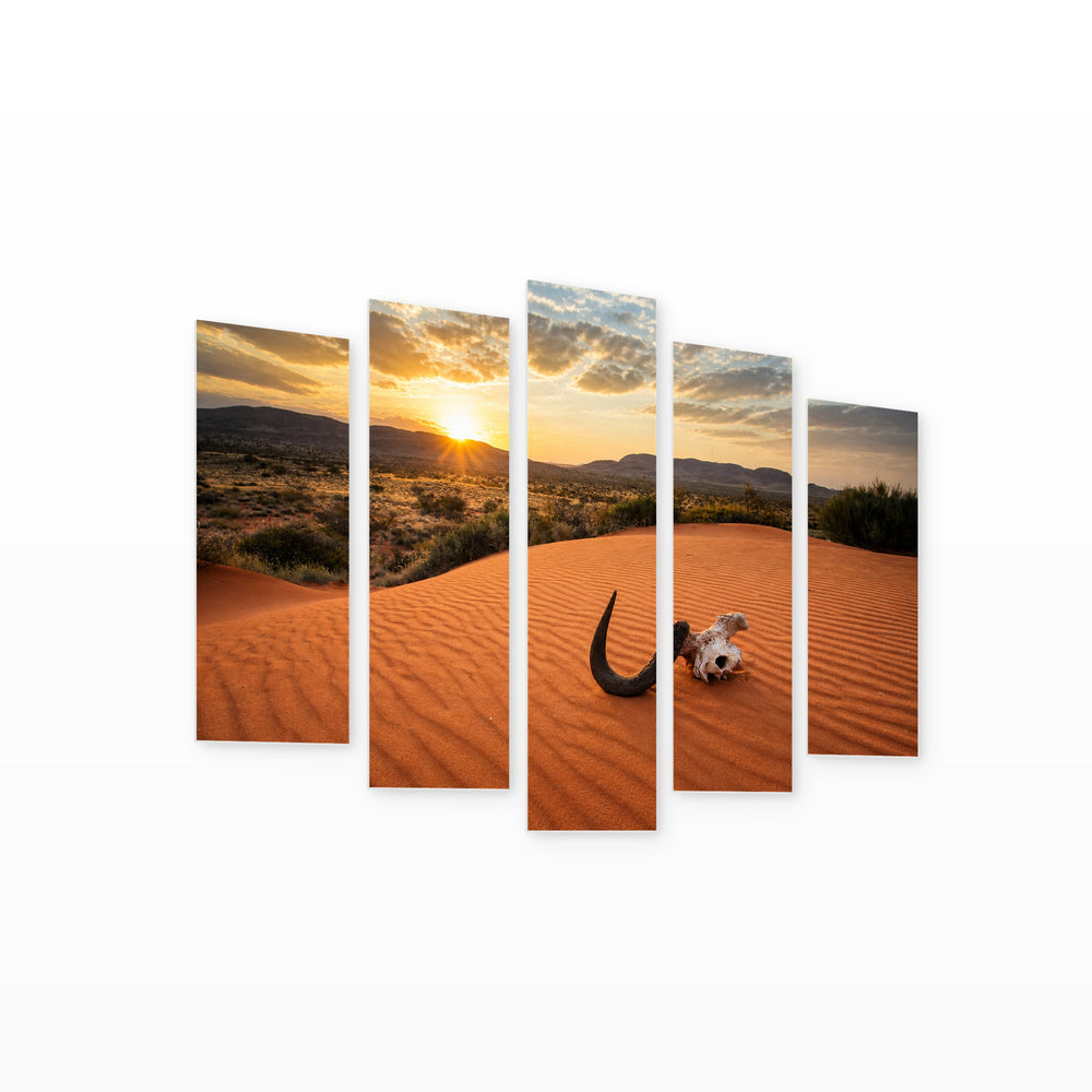 Panoramic View of the Kalahari Landscape in South — five-panel wall art on white background in perspective | 5wallart 53671 M1