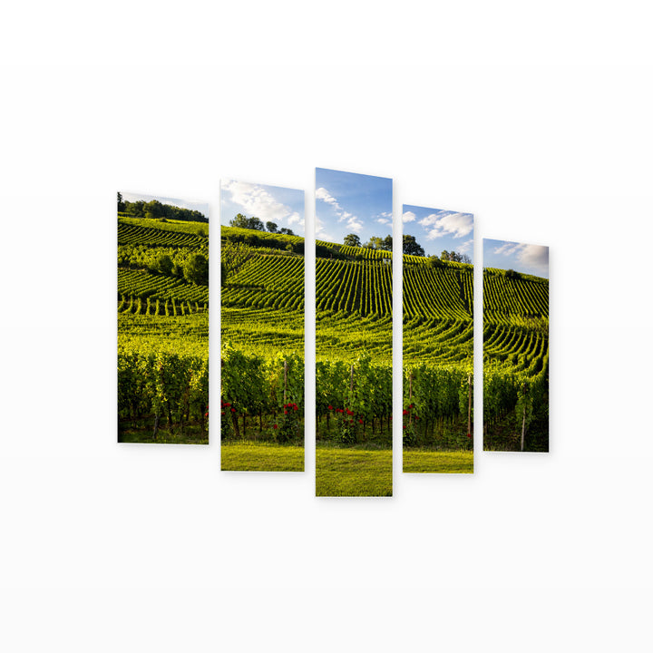 Vineyards and Roses in Serene Light — five-panel wall art on white background in perspective | 5wallart 53853 M1