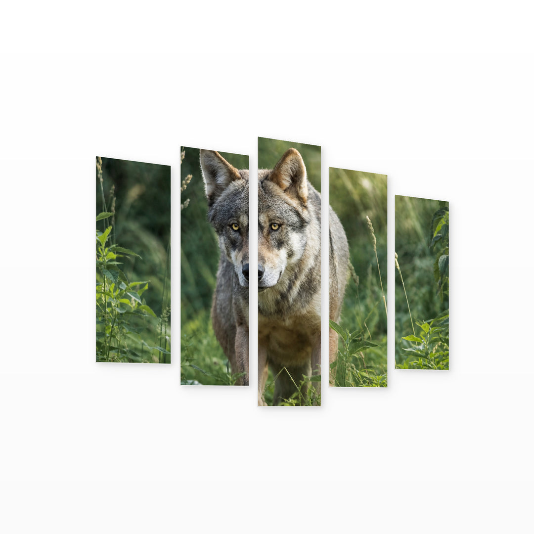 Gray Wolf with Geometric Rhythm — five-panel wall art on white background in perspective | 5wallart 53906 M1