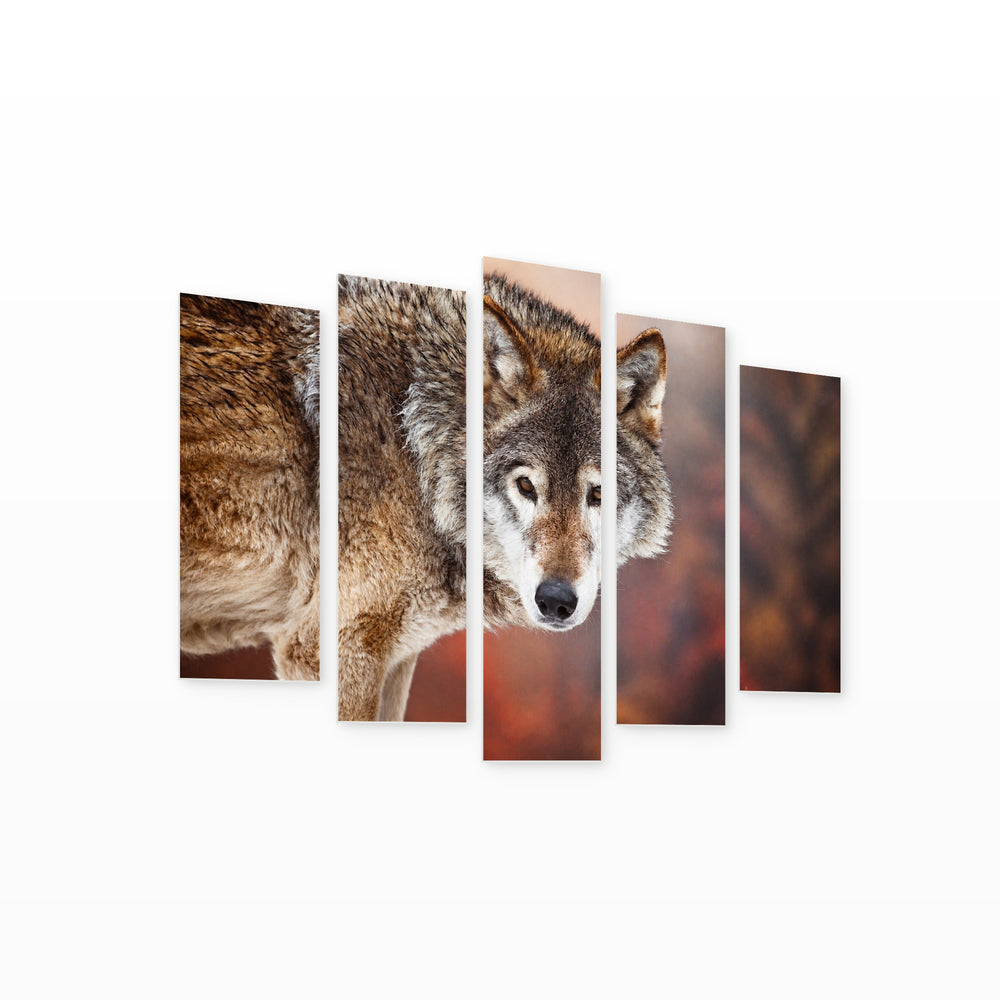 Wild Wolf with Geometric Rhythm — five-panel wall art on white background in perspective | 5wallart 53911 M1