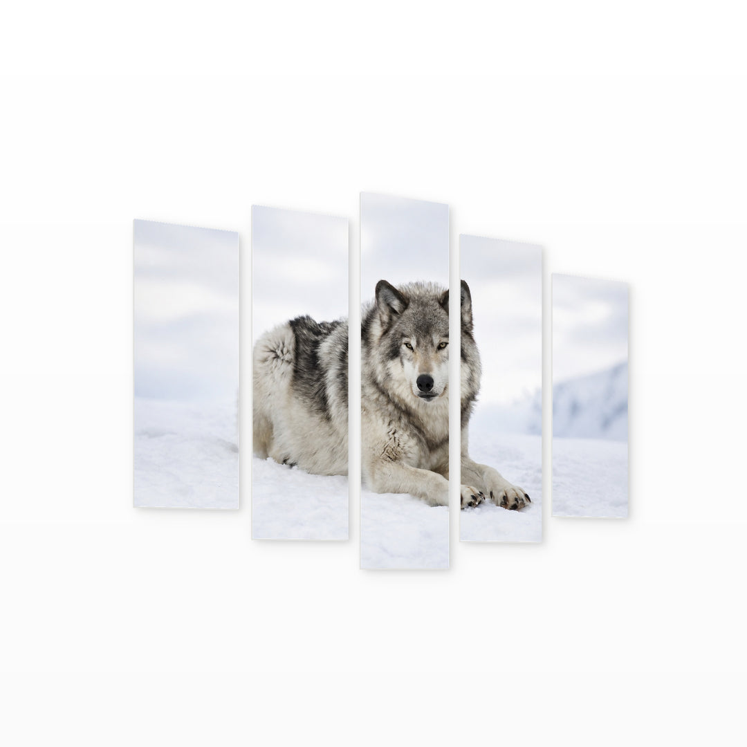 Wolf on Snow in Winter — five-panel wall art on white background in perspective | 5wallart 53917 M1