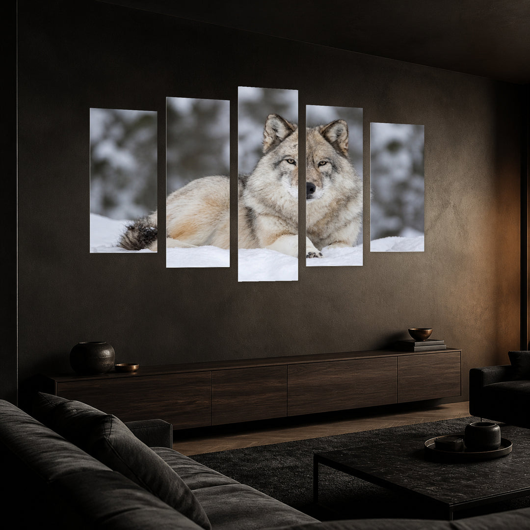 Gray Wolf Lying in Snow in Winter — five-panel wall art in perspective interior | 5wallart 53919 M2