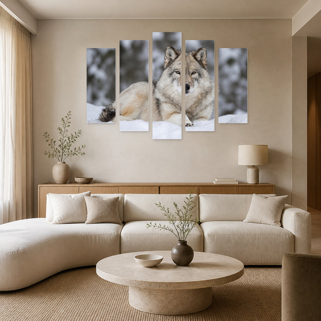 Gray Wolf Lying in Snow in Winter — five-panel wall art in frontal interior | 5wallart 53919 M3