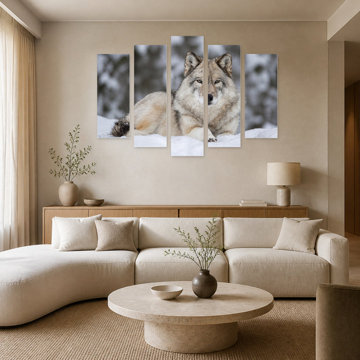 Gray Wolf Lying in Snow in Winter — five-panel wall art in frontal interior | 5wallart 53919 M3