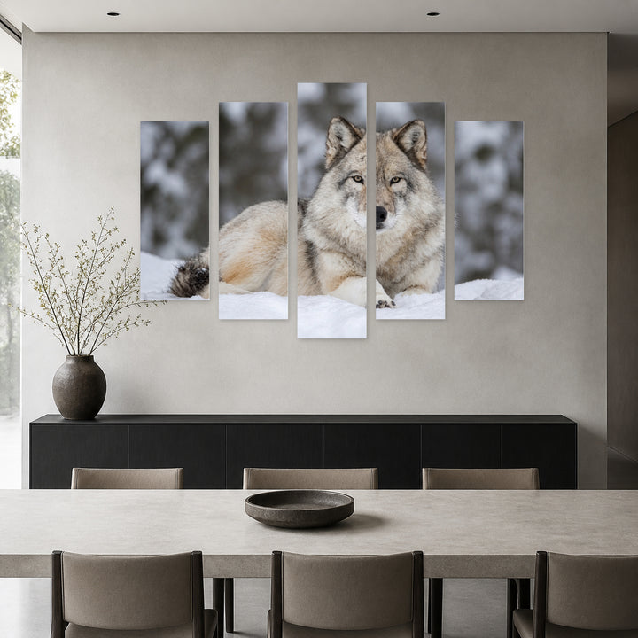 Gray Wolf Lying in Snow in Winter — five-panel wall art in alternate frontal interior | 5wallart 53919 M4