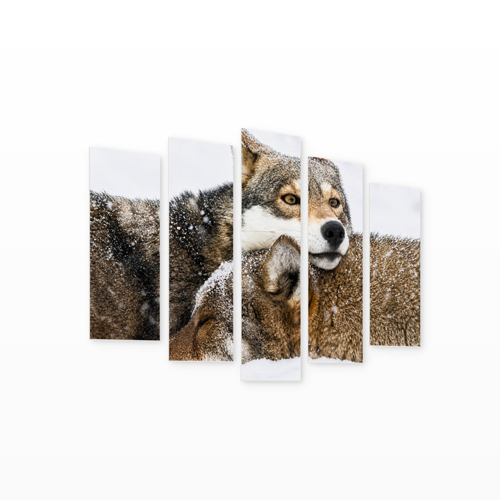 Pair of Red Wolves in Snow in Winter — five-panel wall art on white background in perspective | 5wallart 53940 M1