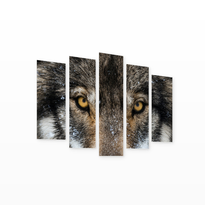 Wolf Eyes with Dramatic Contrast — five-panel wall art on white background in perspective | 5wallart 53941 M1