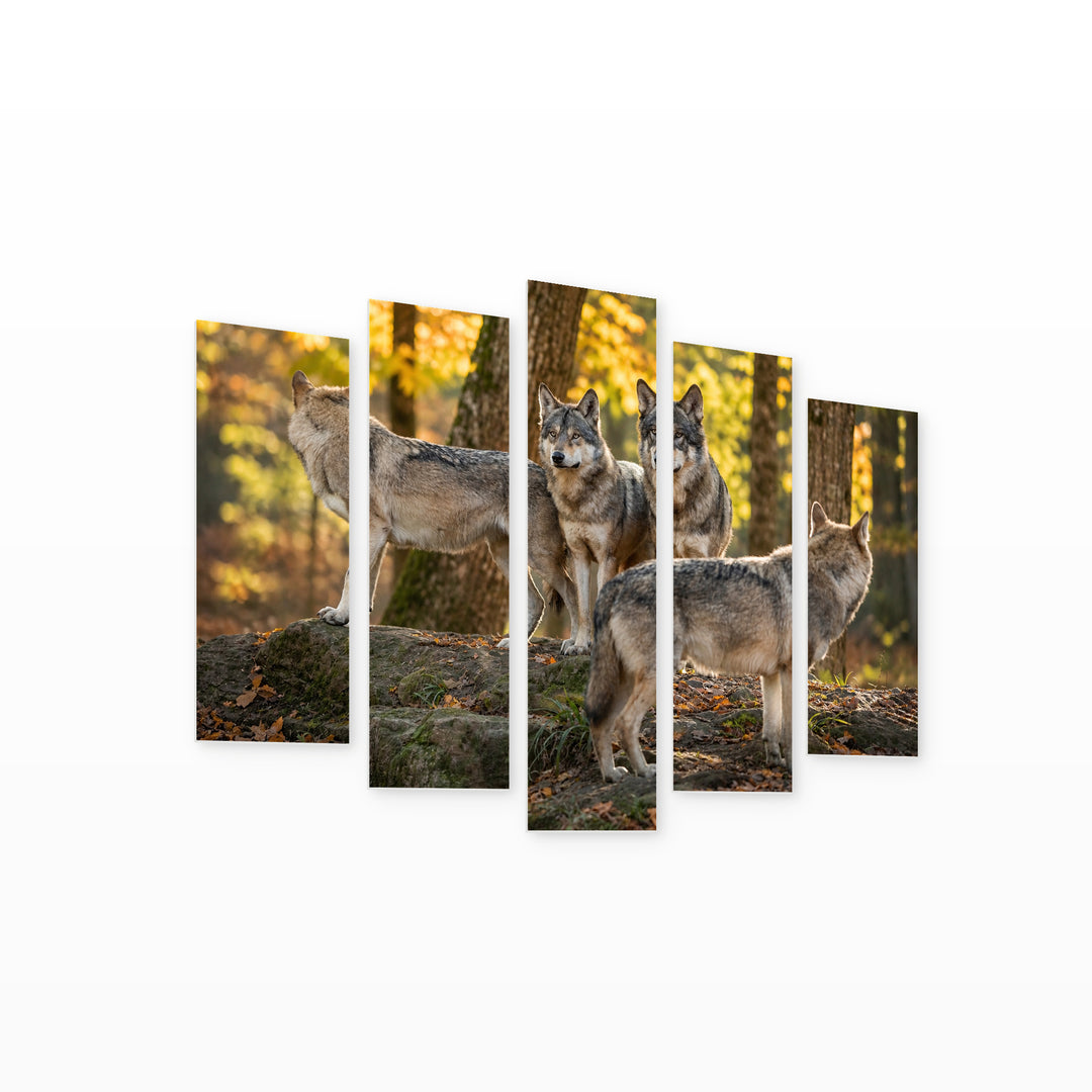 Family of Gray Wolves in the Forest — five-panel wall art on white background in perspective | 5wallart 53942 M1