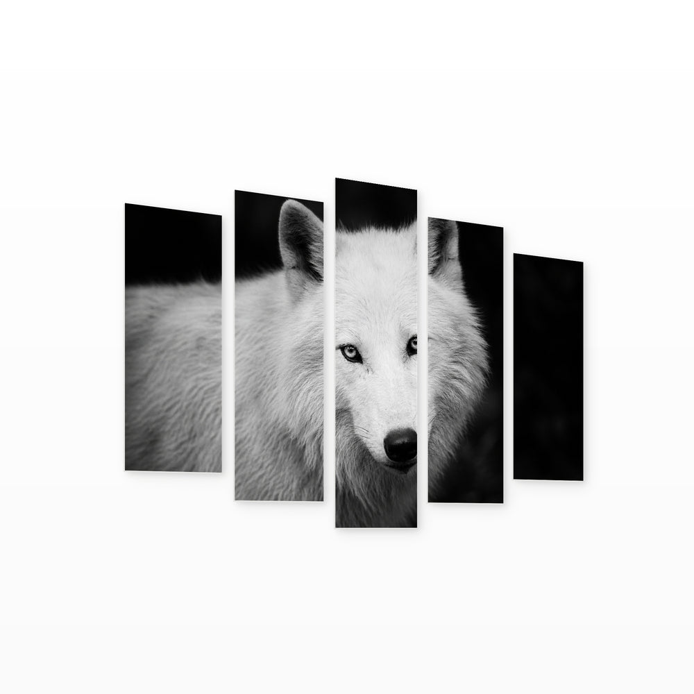 Portrait of a White Wolf with Dramatic Contrast — five-panel wall art on white background in perspective | 5wallart 53954 M1