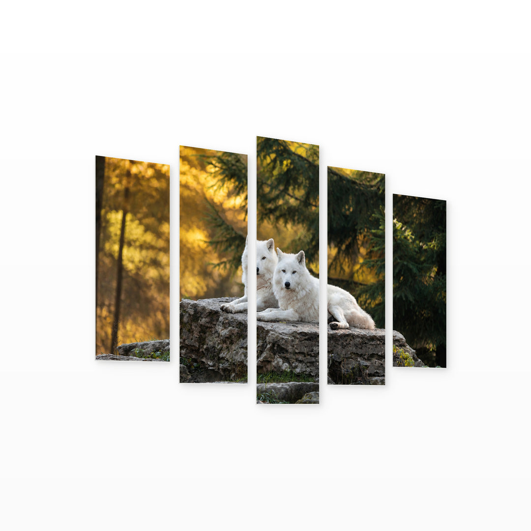 White Wolves in the Forest in Serene Light — five-panel wall art on white background in perspective | 5wallart 53955 M1