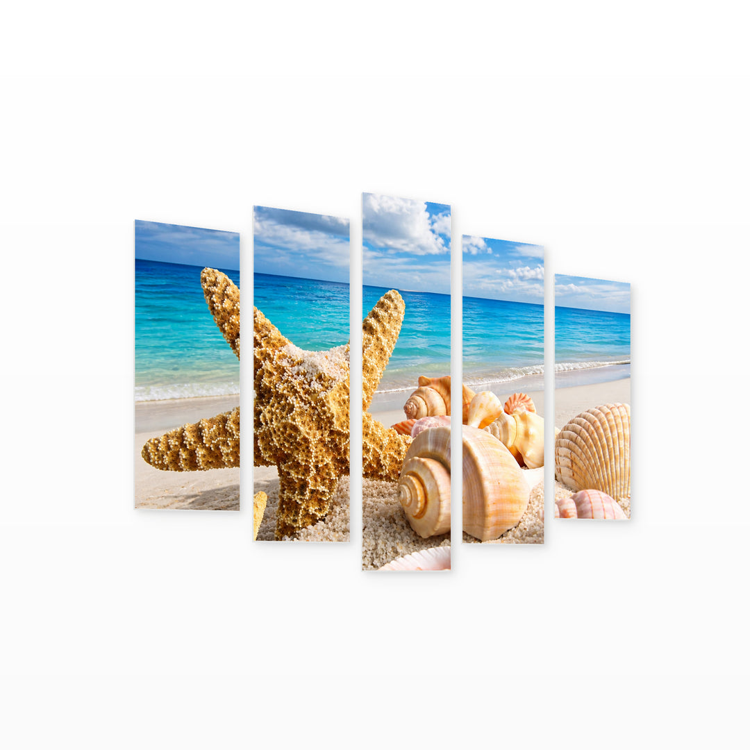 Starfish and Seashells in Vivid Color — five-panel wall art on white background in perspective | 5wallart 54019 M1