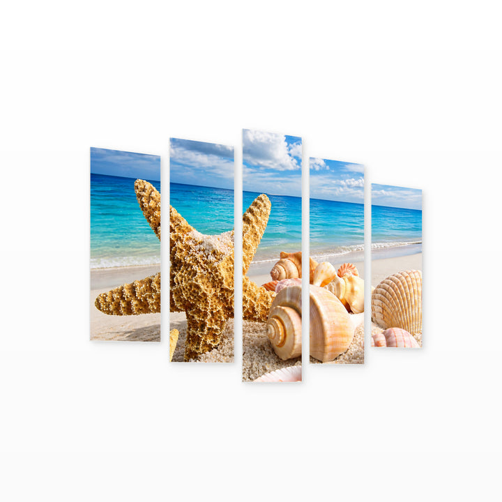 Starfish and Seashells in Vivid Color — five-panel wall art on white background in perspective | 5wallart 54019 M1