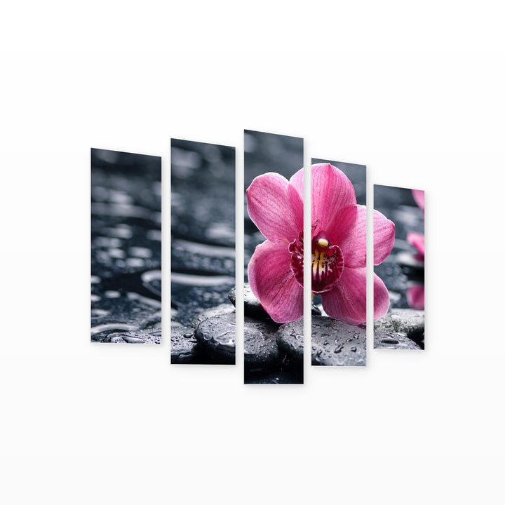 Orchid with Water Drops with Dreamlike Atmosphere — five-panel wall art on white background in perspective | 5wallart 54058 M1