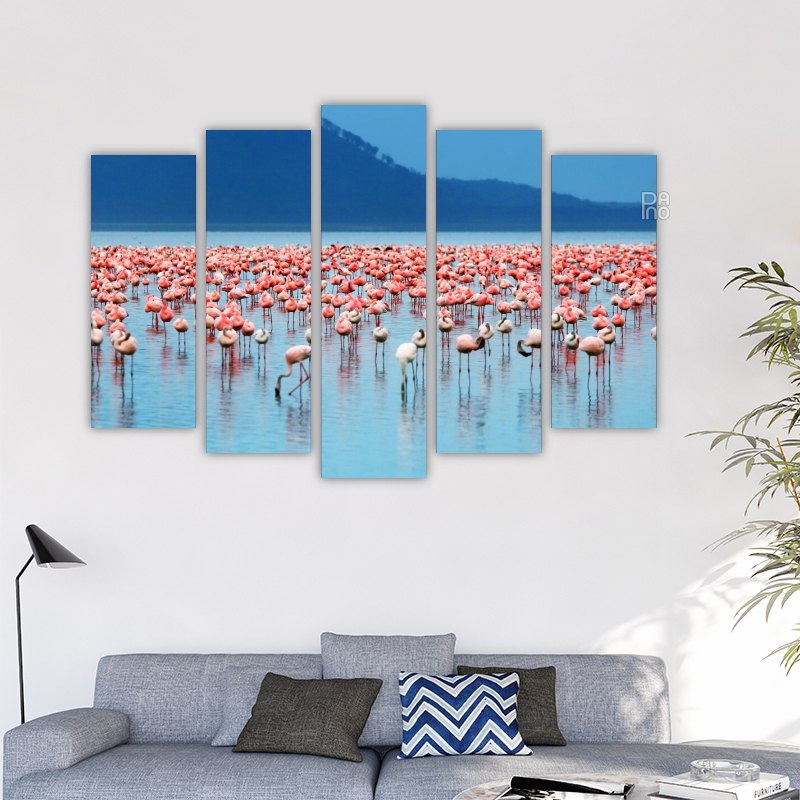 African Flamingos – reference image 2