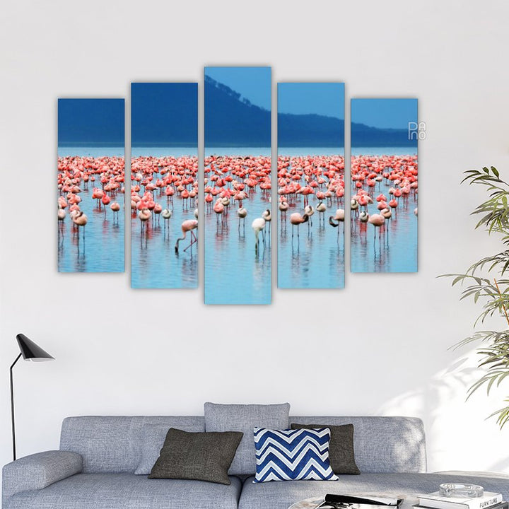 African Flamingos – reference image 2
