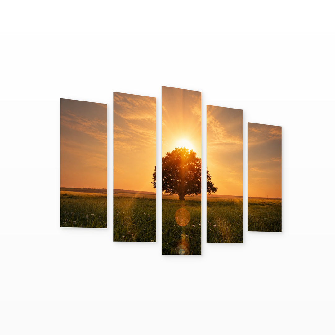 Golden Sunset over Tree — five-panel wall art on white background in perspective | 5wallart 54086 M1
