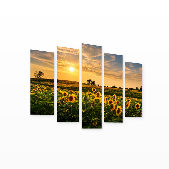 Golden Sunset over Sunflower Fields — five-panel wall art on white background in perspective | 5wallart 54095 M1