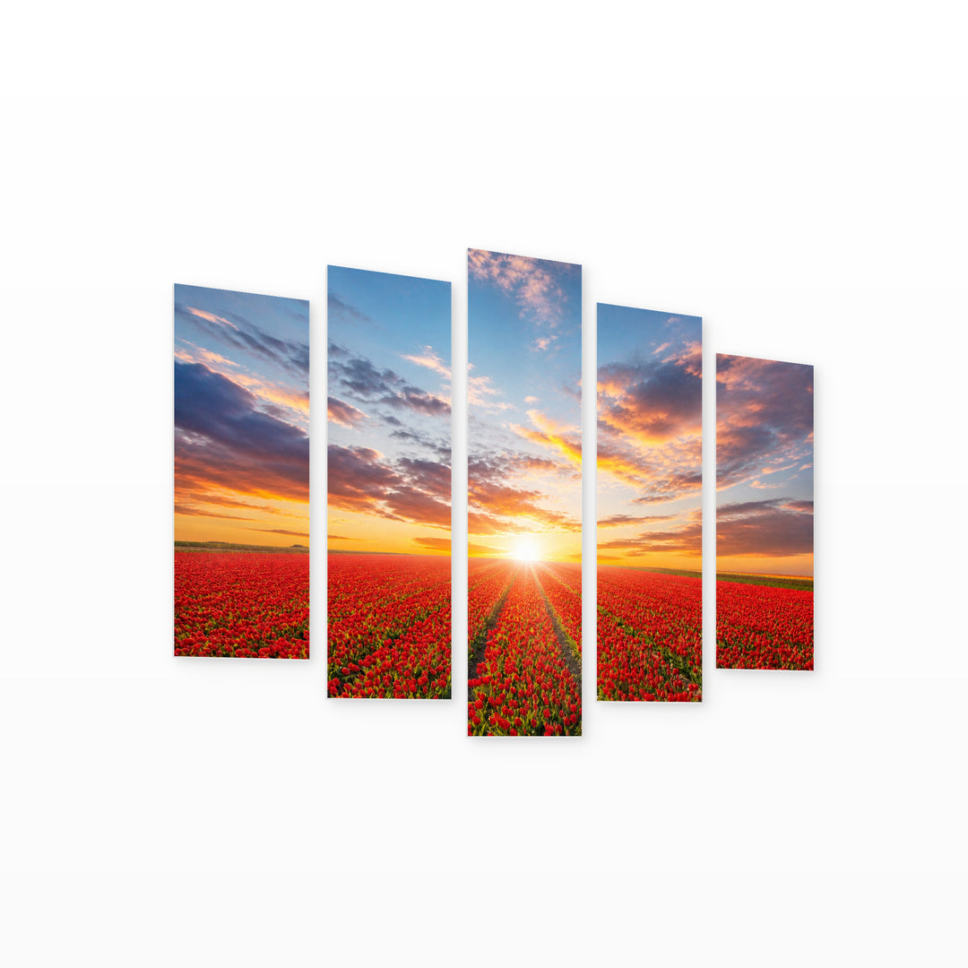 Tulip Fields with Dreamlike Atmosphere — five-panel wall art on white background in perspective | 5wallart 54118 M1