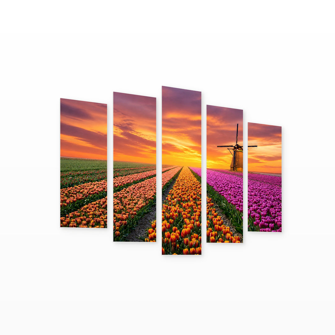 Colorful Tulips with Dramatic Contrast — five-panel wall art on white background in perspective | 5wallart 54123 M1