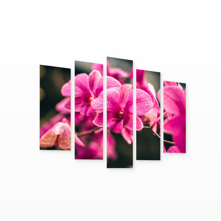 Pink Orchid in Serene Light — five-panel wall art on white background in perspective | 5wallart 54149 M1