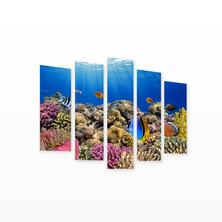 Sea Creatures in Blue and Gold — five-panel wall art on white background in perspective | 5wallart 54168 M1