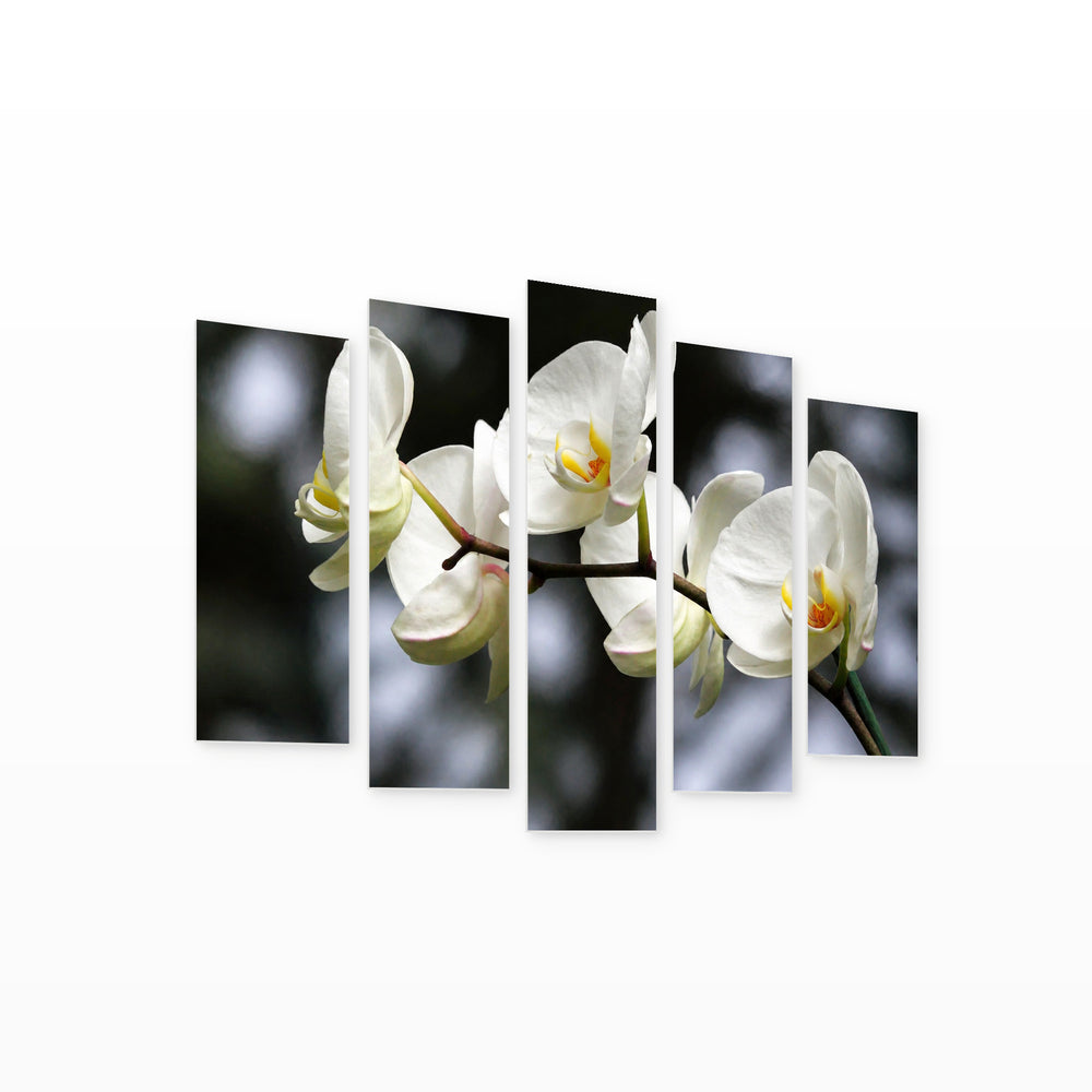 White Flowers in Serene Light — five-panel wall art on white background in perspective | 5wallart 54170 M1