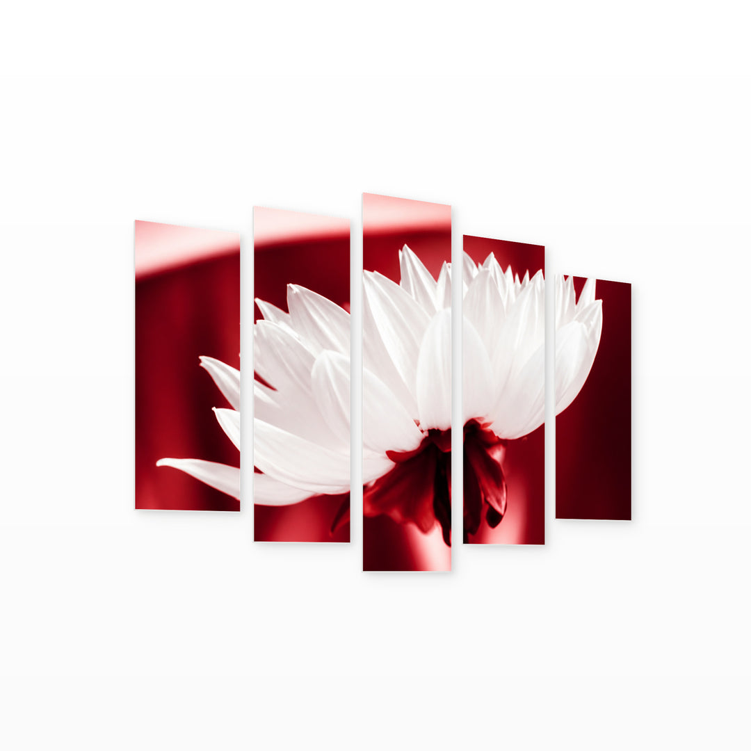 Blooming Flower in Vivid Color — five-panel wall art on white background in perspective | 5wallart 54175 M1