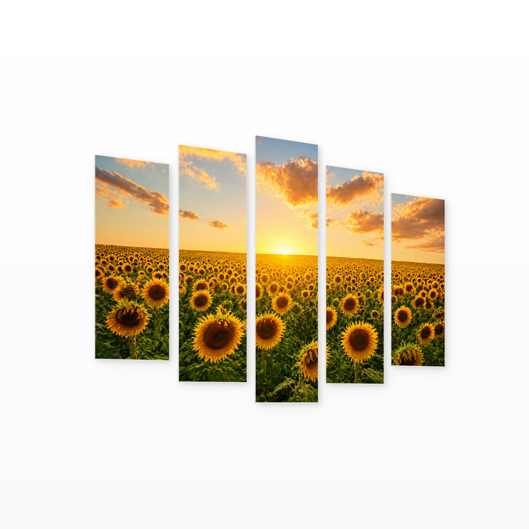 Sunflower Fields at Sunrise in Serene Light — five-panel wall art on white background in perspective | 5wallart 54180 M1