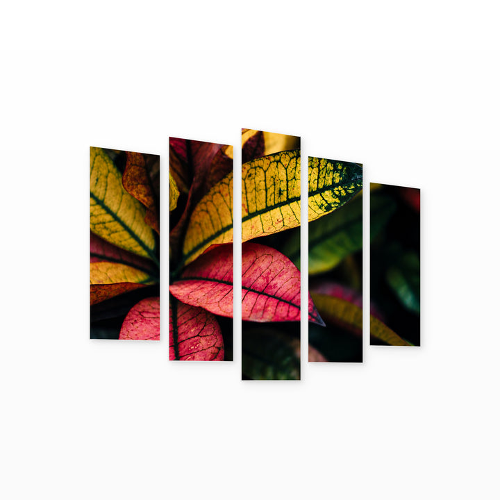 Croton Flower with Dramatic Contrast — five-panel wall art on white background in perspective | 5wallart 54268 M1