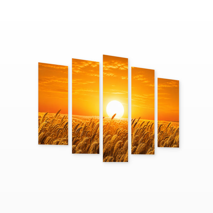 Wheat Field in Serene Light — five-panel wall art on white background in perspective | 5wallart 54493 M1