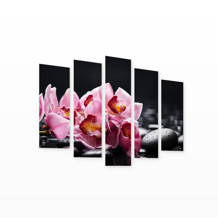 Orchid with Black Stones in Serene Light — five-panel wall art on white background in perspective | 5wallart 54756 M1