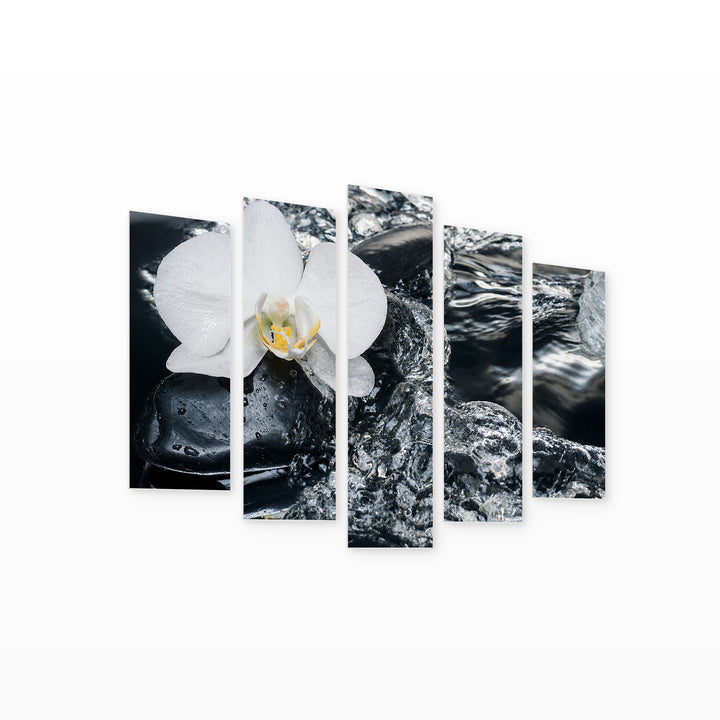 White Orchid and Stones in Winter — five-panel wall art on white background in perspective | 5wallart 54768 M1