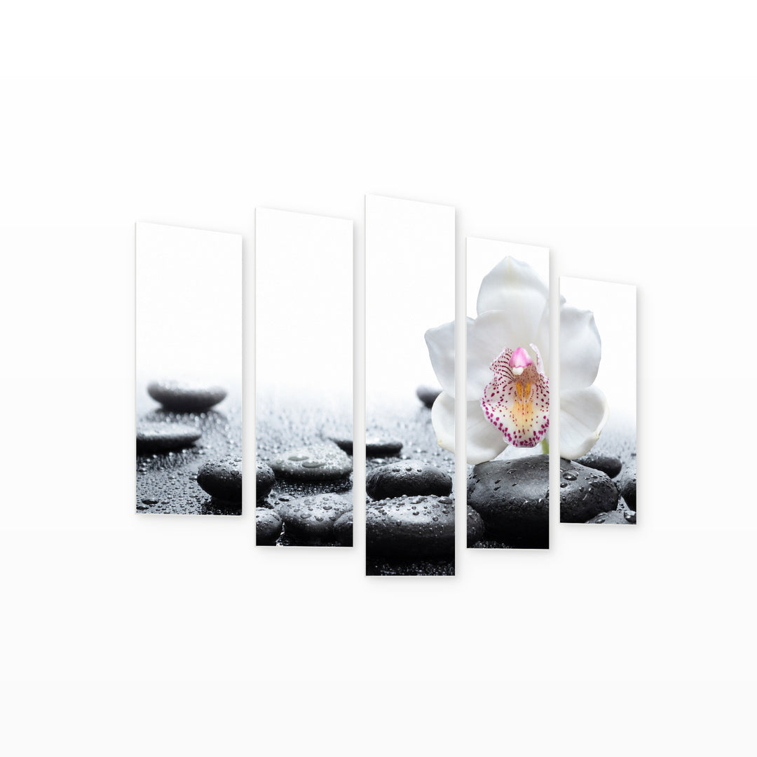 White Orchid and Black Stones in Serene Light — five-panel wall art on white background in perspective | 5wallart 54769 M1