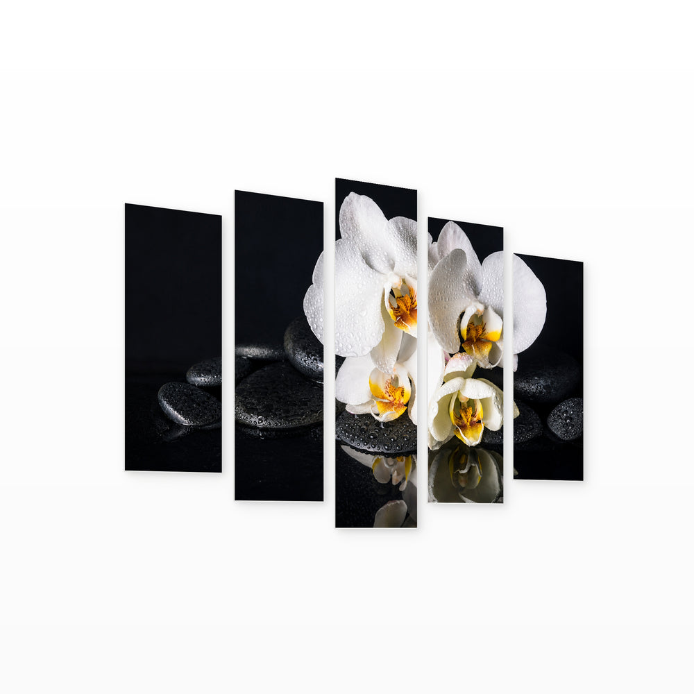 White Orchids with Black Stones in Serene Light — five-panel wall art on white background in perspective | 5wallart 54774 M1