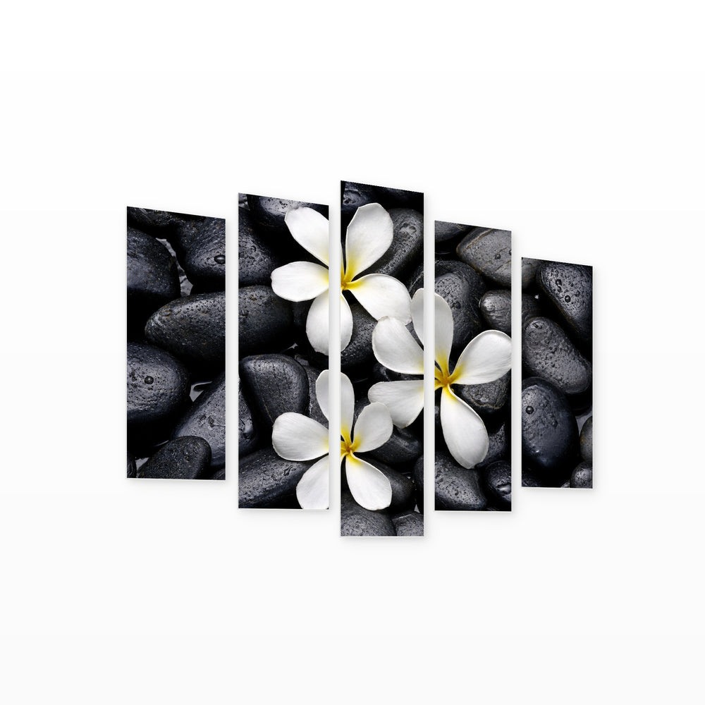 Frangipani Flower in Serene Light — five-panel wall art on white background in perspective | 5wallart 54783 M1