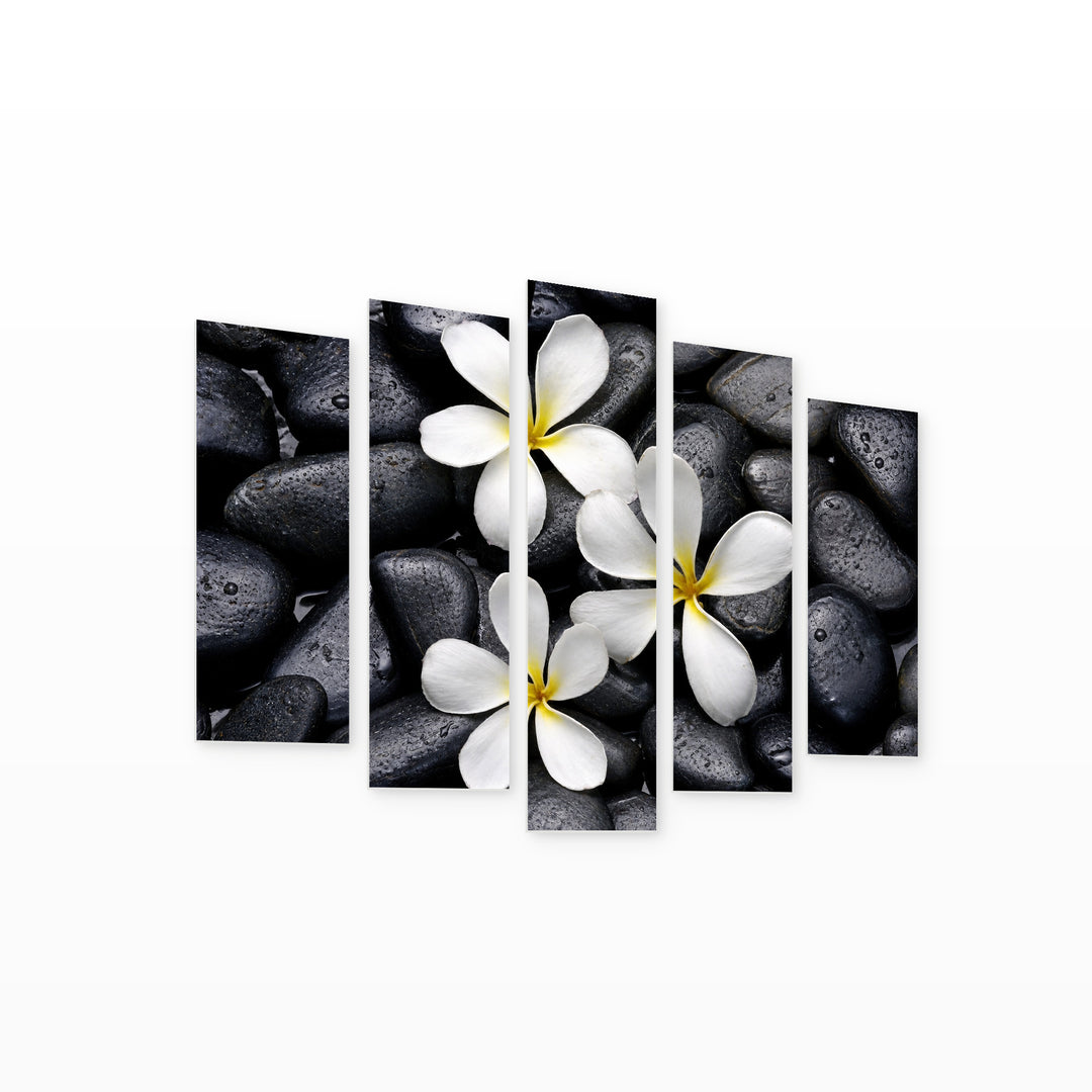 Frangipani Flower in Serene Light — five-panel wall art on white background in perspective | 5wallart 54783 M1