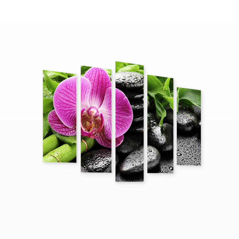 Pink Orchid with Bamboo in Serene Light — five-panel wall art on white background in perspective | 5wallart 54786 M1