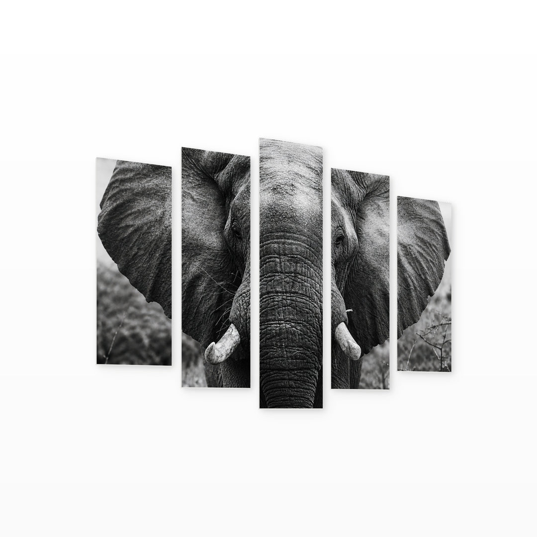 Elephant in Black and White Photo Wildlife Portrait — five-panel wall art on white background in perspective | 5wallart 54807 M1