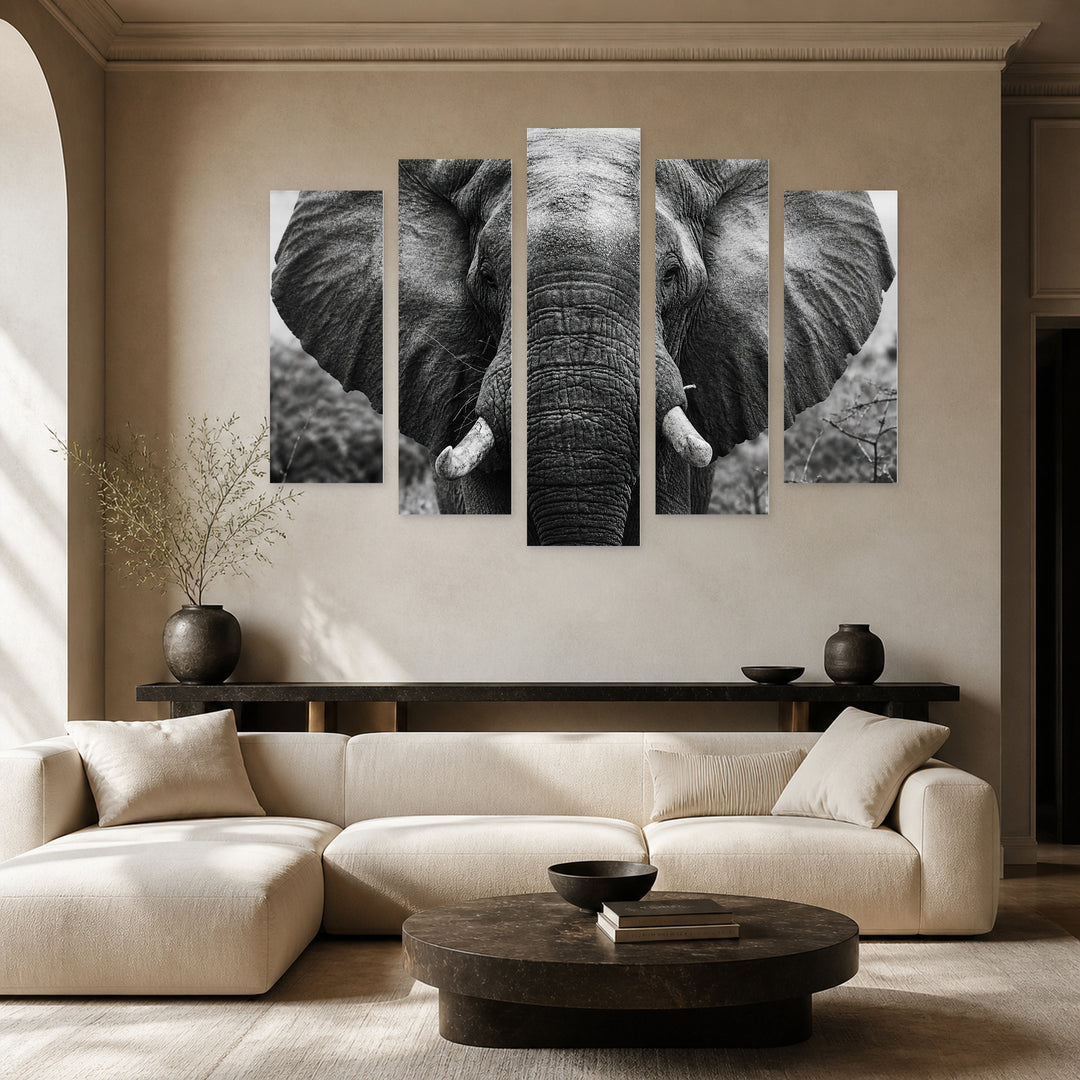 Elephant in Black and White Photo Wildlife Portrait — five-panel wall art in frontal interior | 5wallart 54807 M3