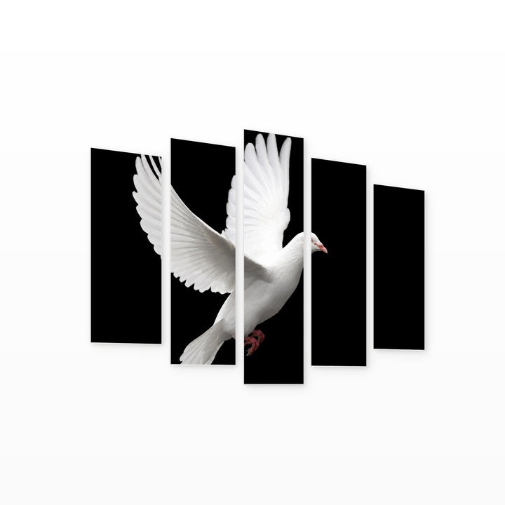 White Dove in Serene Light — five-panel wall art on white background in perspective | 5wallart 54808 M1