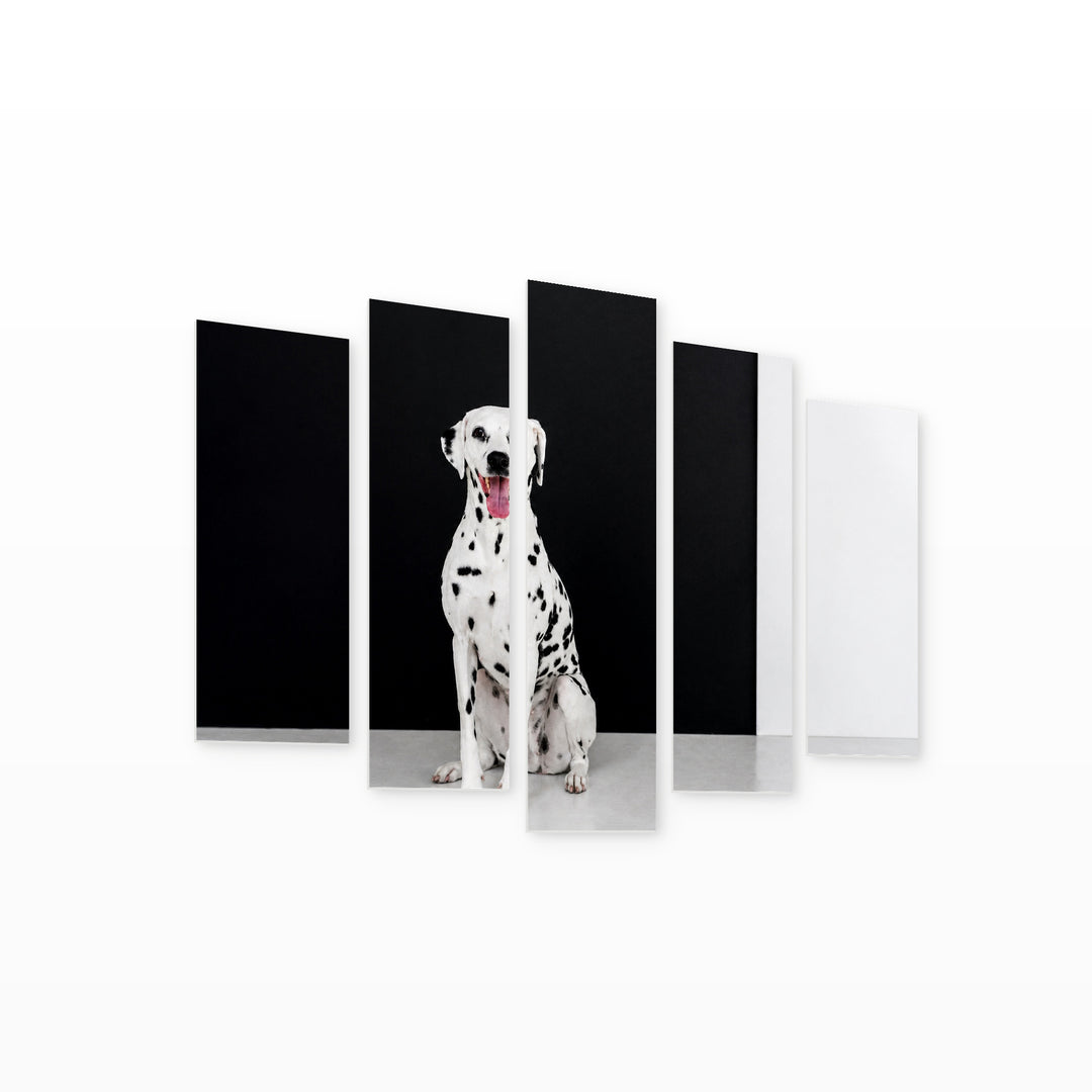 Dalmatian with Dramatic Contrast — five-panel wall art on white background in perspective | 5wallart 54809 M1