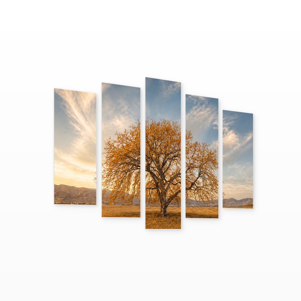Tree in Autumn in Serene Light — five-panel wall art on white background in perspective | 5wallart 54814 M1