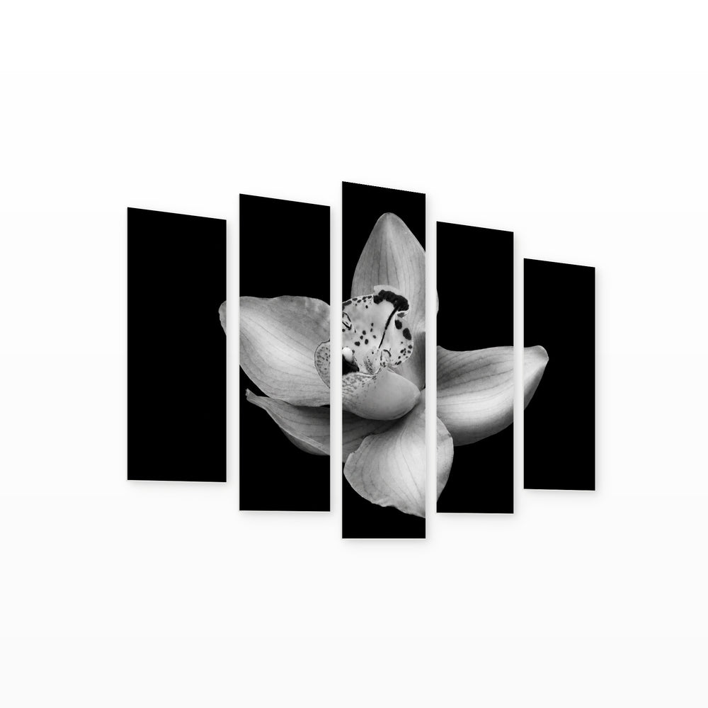 Monochrome Orchid In — five-panel wall art on white background in perspective | 5wallart 54817 M1