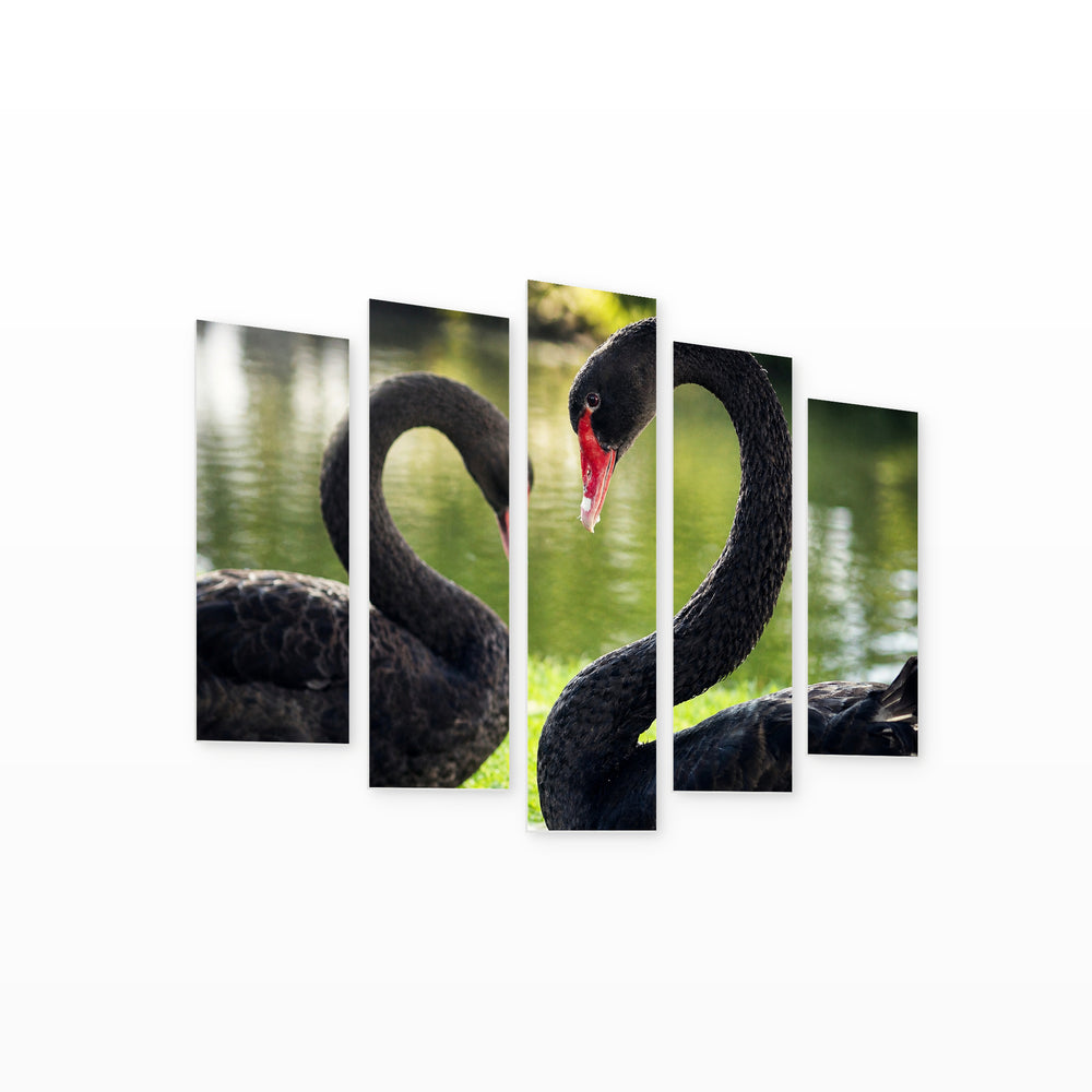 Loving Black Swans with Dramatic Contrast — five-panel wall art on white background in perspective | 5wallart 54861 M1