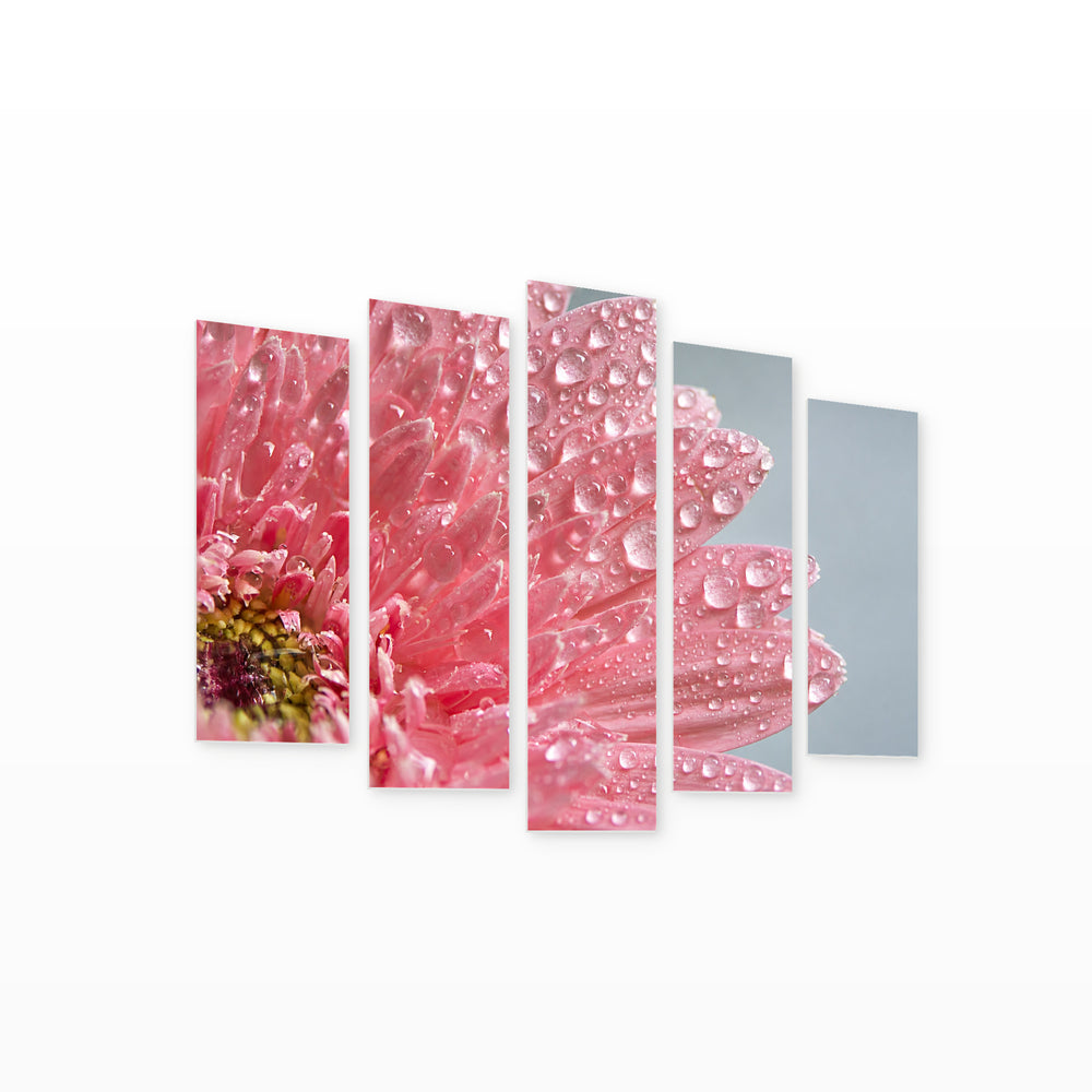 Pink Gerbera Leaves in Serene Light — five-panel wall art on white background in perspective | 5wallart 55064 M1