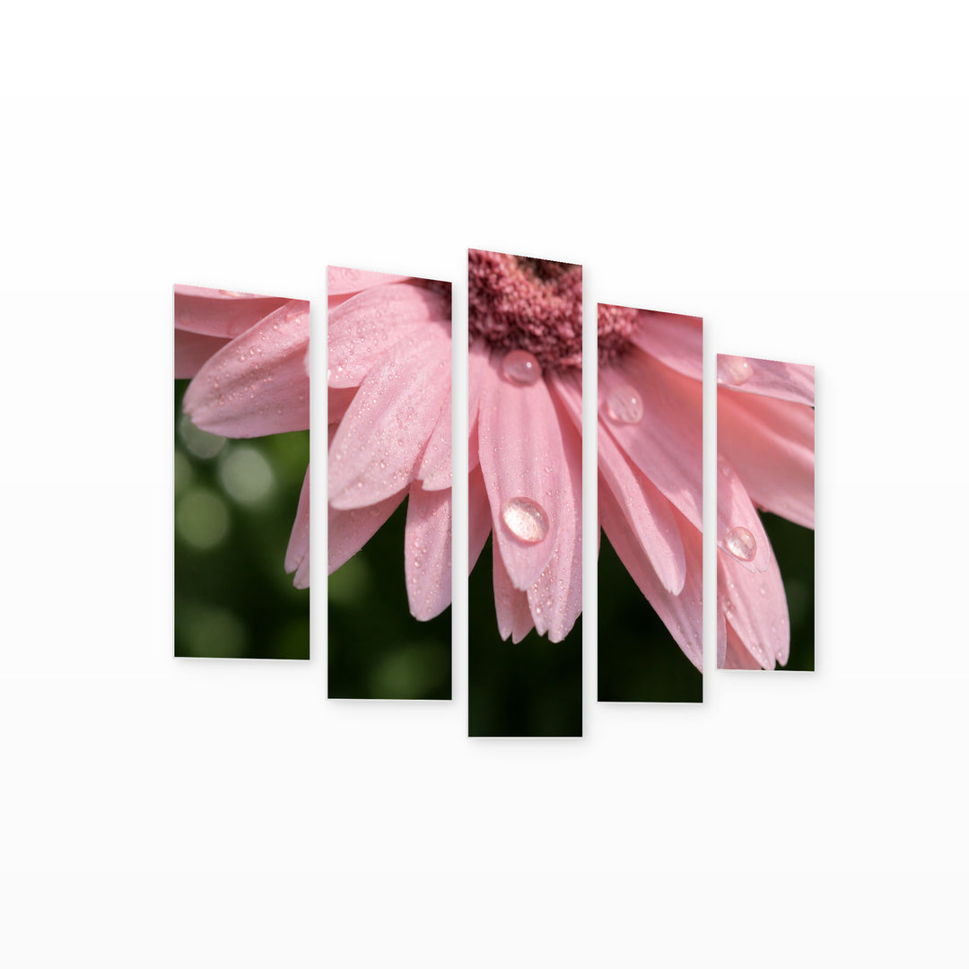 Delicate Pink Petals with Geometric Rhythm — five-panel wall art on white background in perspective | 5wallart 55069 M1