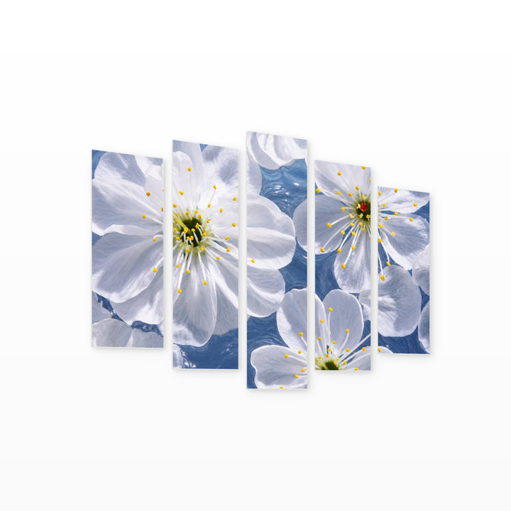 Cherry Blossoms in Serene Light — five-panel wall art on white background in perspective | 5wallart 55081 M1