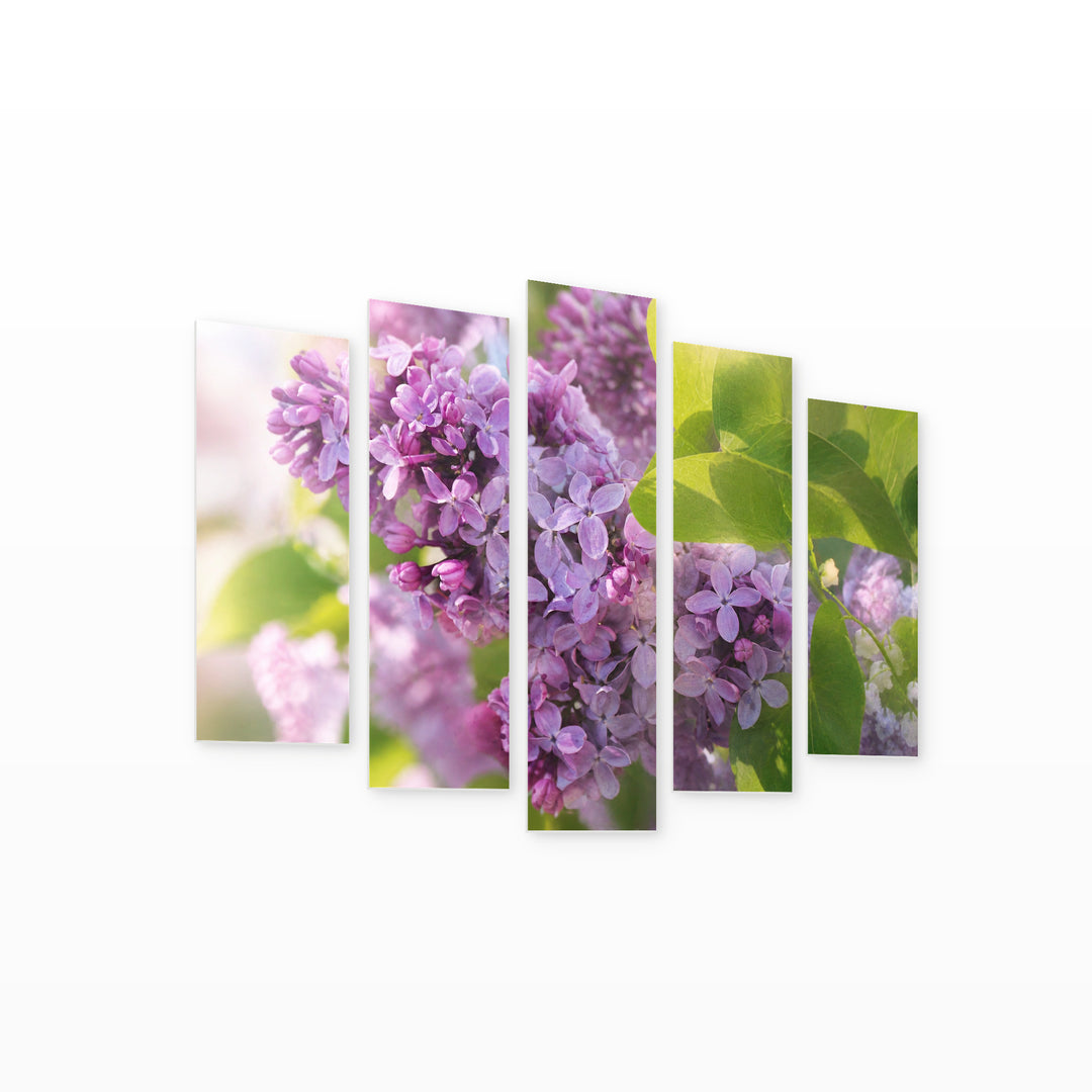 Branch of Lilac Flowers in Serene Light — five-panel wall art on white background in perspective | 5wallart 55088 M1