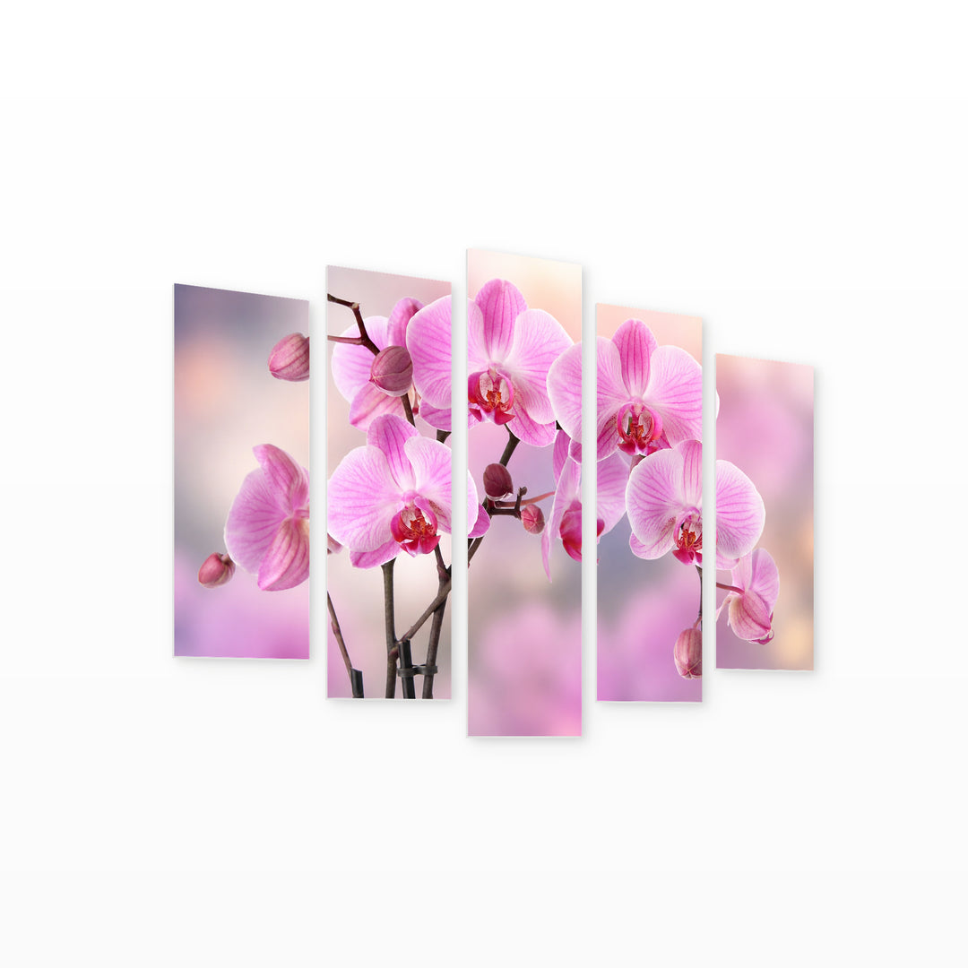 Pink Orchids with Dreamlike Atmosphere — five-panel wall art on white background in perspective | 5wallart 55097 M1