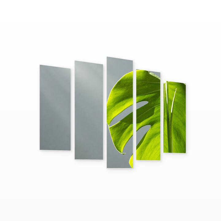 Monstera in Serene Light — five-panel wall art on white background in perspective | 5wallart 55158 M1